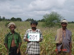 129340261b-rainfed-agriculture-blackgram-dominant-maize.gif