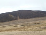 22831P1020067.JPG