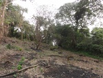 46636DSC01969.JPG
