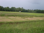 33635RIMG0300.JPG