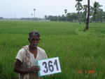 132910361c-irrigated-canal-rice-doublecrop.gif