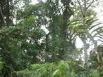 48086CIMG4423.JPG