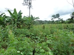 25283P1020126.JPG
