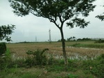 39591CIMG1675.JPG