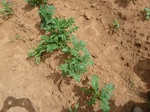 18858P1000699.JPG
