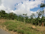 31475CIMG1339.JPG