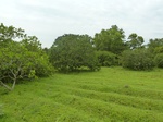 18390P1000226.JPG