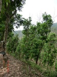 53714CIMG7114.JPG