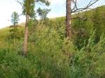 38182P1080108.JPG