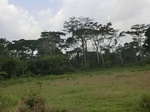 49866CIMG6203.JPG