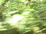 47919CIMG4256.JPG