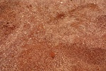 28613P1010630-1.JPG