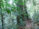 45684CIMG2769.JPG