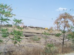 511322042008(46).JPG
