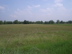 28277RIMG0279.JPG