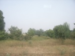 9166RIMG0247.JPG