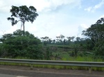 25620P1020034.JPG