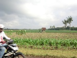 30988CIMG0849.JPG