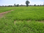 33561RIMG0226.JPG