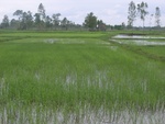 34578RIMG0044.JPG