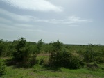19263P1010109.JPG