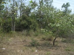 27805IMG_4685.JPG