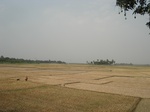 21890DSC08485.JPG