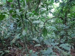 45681CIMG2766.JPG