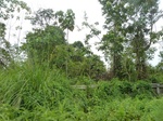 54986Berau (287).JPG