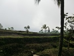 30750CIMG0590.JPG