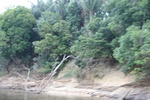 2024-10-10_17-07-44_F4C54520-47CC-45FF-96BA-E49F0E1C38DD.jpeg