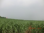 33083CIMG2318.JPG
