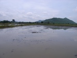 21405RIMG0135.JPG