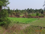 51952Tank ID 1800284 Singrihalli 1.JPG