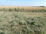 39171BREC20110829N.JPG