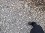 9750IMG_0027.JPG