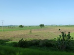19409P1010256.JPG