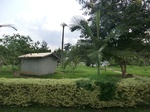 46626CIMG0915.JPG