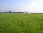 28087RIMG0142.JPG