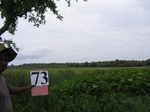 1179673-croplant-rice-fallow-e.gif