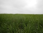 54453DSCN1734.JPG