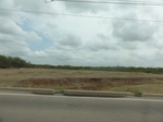35362DSC02874.JPG