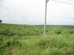 33646IMG_5835.JPG