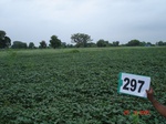 130620297b-rainfed-irrigated-supplemental-soyabean-dominant-rice-doublecrop-wheat.gif