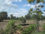 33263IMG_5593.JPG