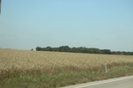 2024-06-17_21-20-44_BEE853BD-90B8-4861-BC7C-92A98B5CFF8E.jpeg