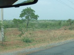 51516P1000678.JPG
