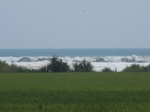 14117IMG_4451.JPG