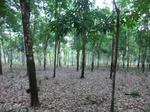 44357CIMG1542.JPG