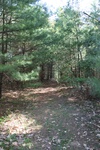 182IMG_4078.JPG